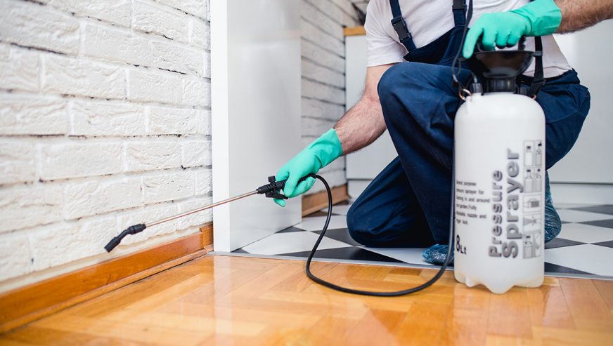 New service Pest Control!